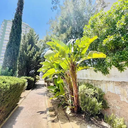 Apartamento Gaivota - Beach 300m - Pool - Private Parking